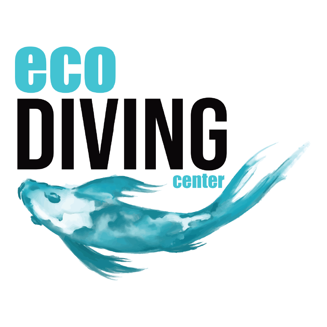 Eco Diving Center