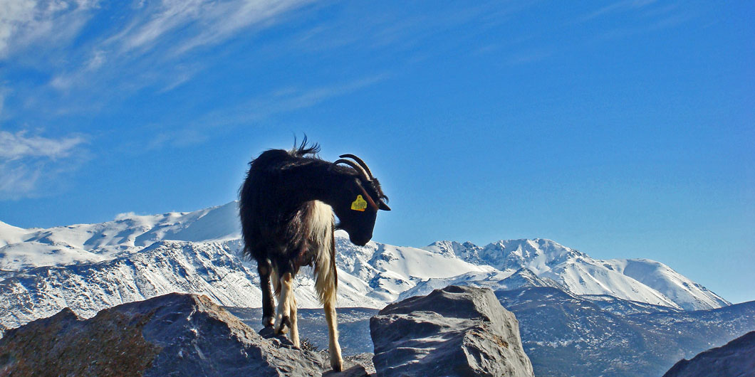 Dicte (Lassithi range)