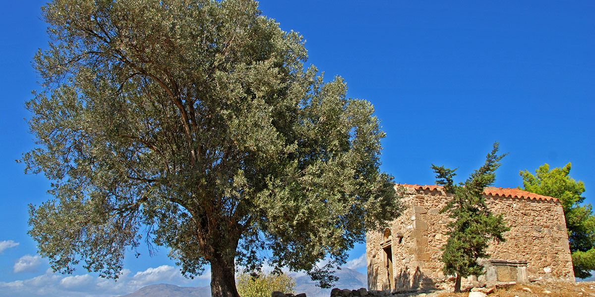 Archaeological site of Phaistos