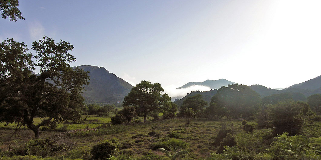 Plateau of Kallikratis