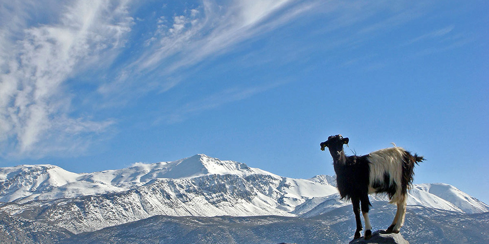 Lasithi Plateau