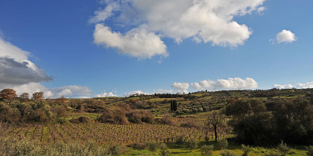 Wineries in Crete