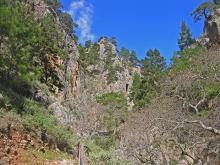 Agia Irini gorge