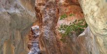 Topoliano gorge