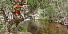 Zakros gorge (Valley of the dead)