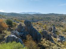 The Natural Sculptures of Chonos