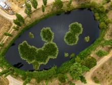 Wetland at Pirioliki of Ziros