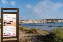 Caretta Caretta nesting beach in Sitia