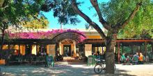 The Municipal Garden of Chania