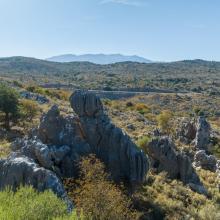 The Natural Sculptures of Chonos