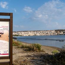 Caretta Caretta nesting beach in Sitia