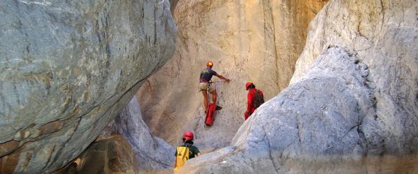 Arvi gorge