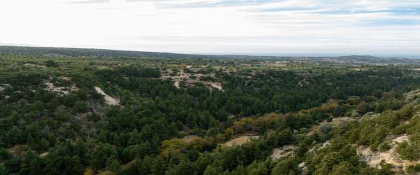 Margarites Gorge