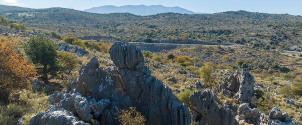 The Natural Sculptures of Chonos