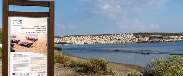 Caretta Caretta nesting beach in Sitia