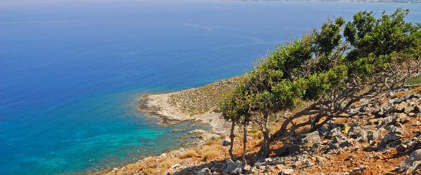 Παραλία στη Μονής Γωνιάς