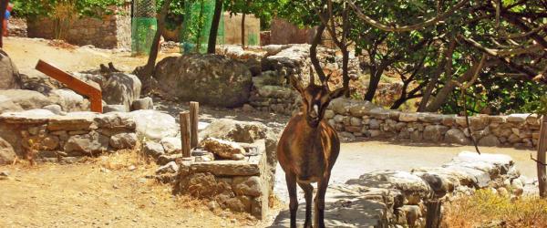 Samaria settlement